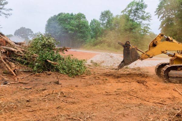 Cost of Ground Clearing in Montgomery