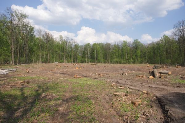 Cost of Pasture Clearing in Montgomery