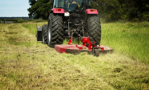 Cost of Brush Clearing Service in Montgomery
