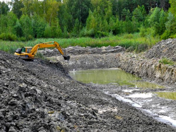 Cost of Lake Lot Clearing in Montgomery