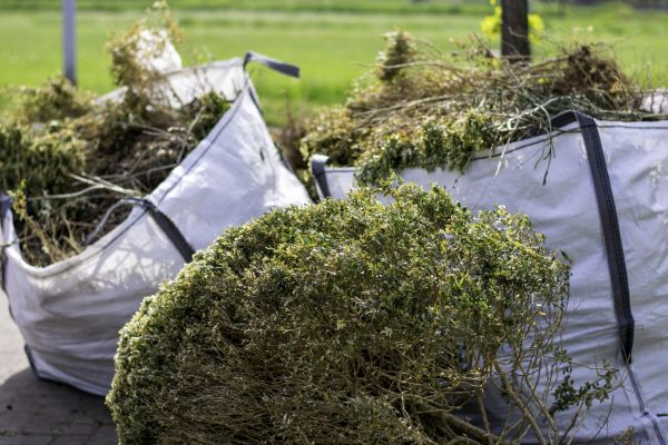 Cost of Bushes Clearing in Montgomery