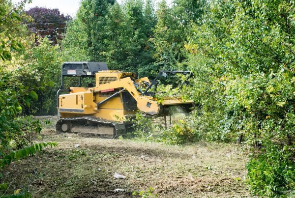 Cost of Pathway Clearing in Montgomery