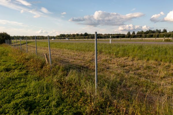 Cost of Property Line Clearing in Montgomery
