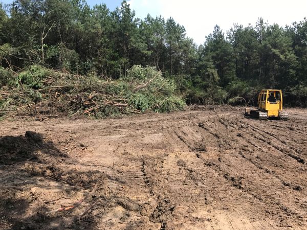 Cost of Thicket Clearing in Montgomery