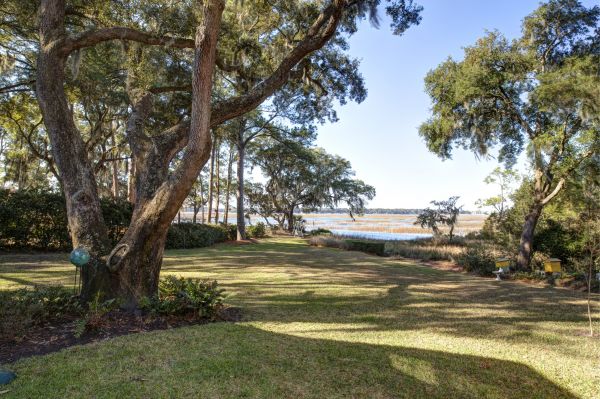 Cost of Lakefront Property Clearing in Montgomery