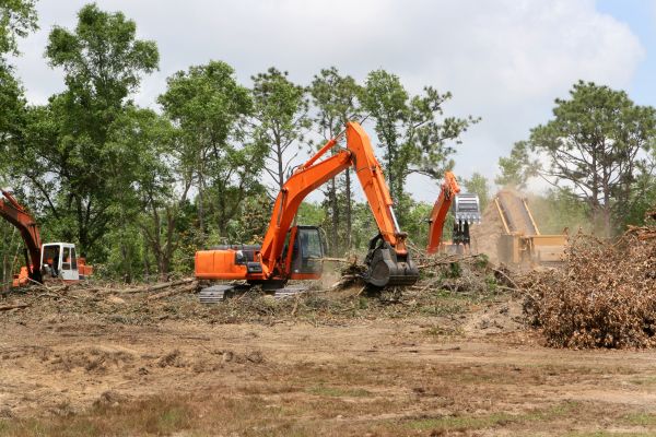 Cost of Commercial Lot Clearing in Montgomery