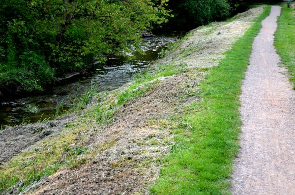 Cost of Trail Cutting in Montgomery
